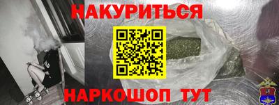 индика Моздок